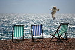 Chairs on beach with seagull flying overhead