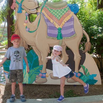 Children posing in front of a camel cutout