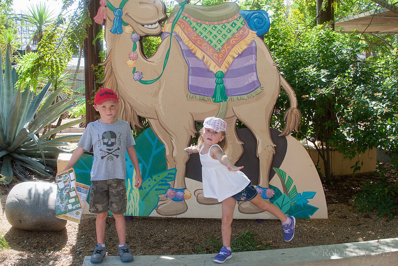 Children posing in front of a camel cutout