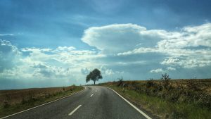 Road with tree in distance