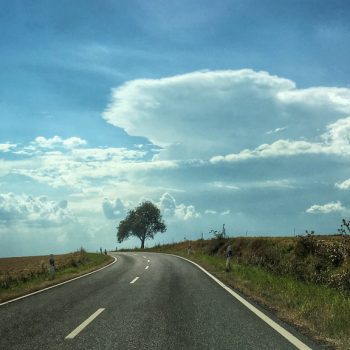 Road with tree in distance