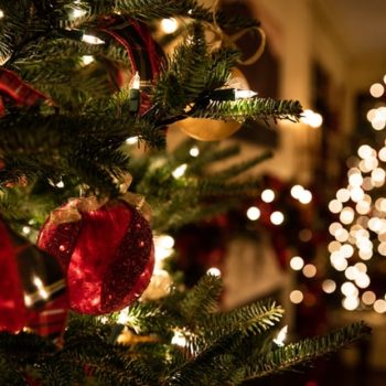 christmas trees in a house