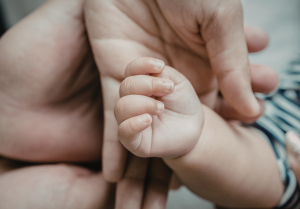 paternity surrogacy family law florida law